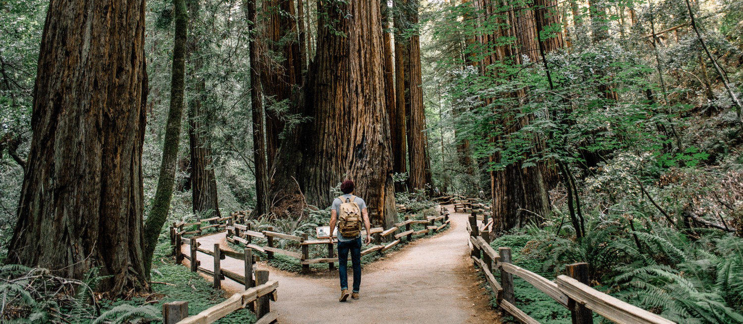 Yearly Goals – A Few Angles You May Not Have Considered